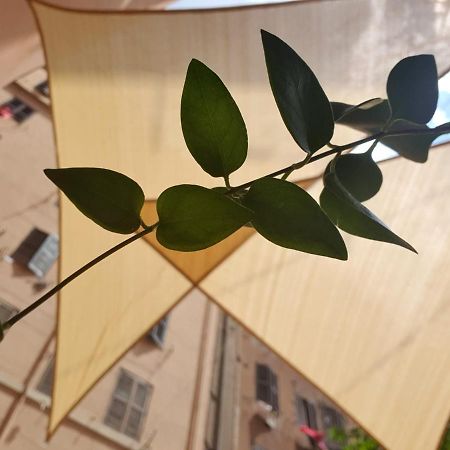 Lapo'S Apartment'S Ρώμη Εξωτερικό φωτογραφία